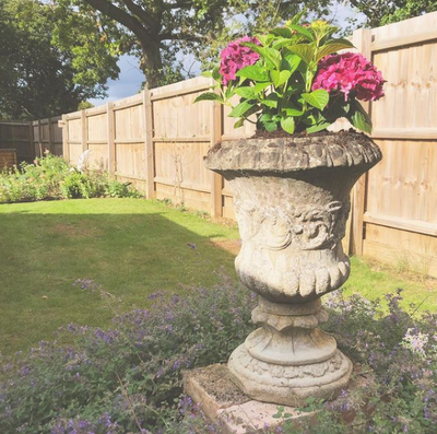 Plants for a shady border